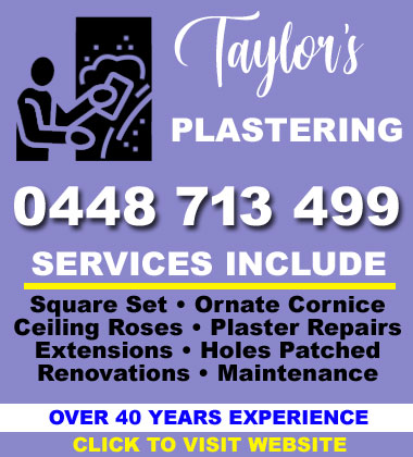 Visit the Taylors Plastering web site